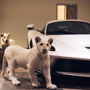 喜欢被双洞齐开
